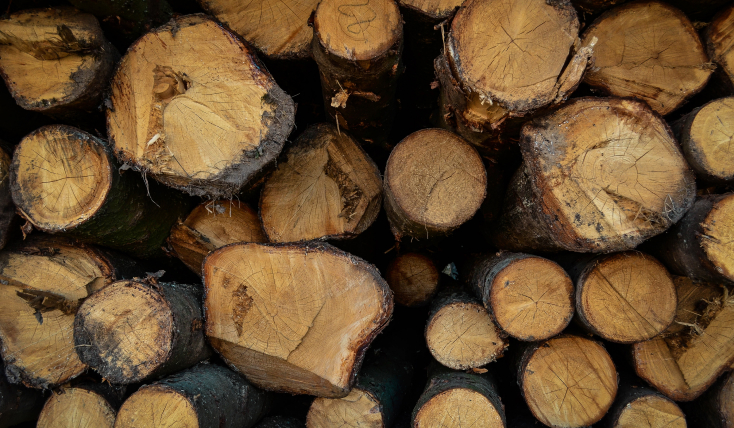 Кто отвечает за вывоз спиленных деревьев, веток и других древесных отходов?